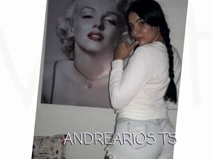 ANDREARIOS_TS