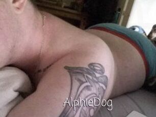 Alphie_Dog