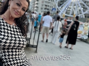 Afrovenus955