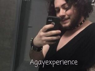 Agayexperience