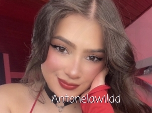 Antonelawildd
