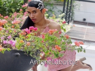 Antonellabarbie