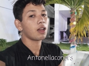 Antonellaconors