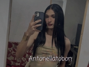 Antonellatobon