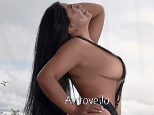 Antovella