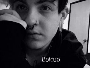Boicub