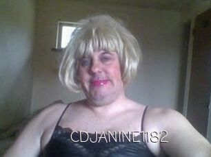 CDJANINE1182