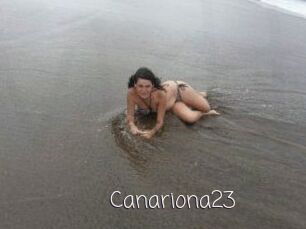 Canariona23