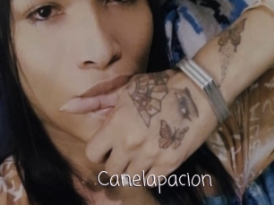 Canelapacion
