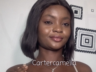 Cartercamelia