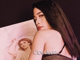 Cloeclean