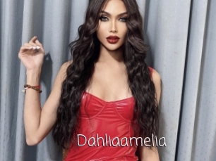 Dahliaamelia