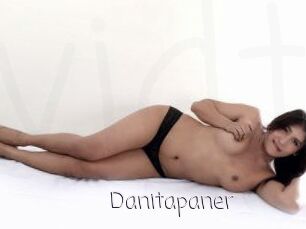 Danitapaner