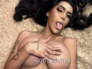 Domelektra
