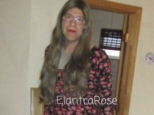 Elantra_Rose