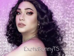 ExoticBunnyTS