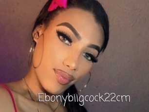 Ebonybiigcock22cm