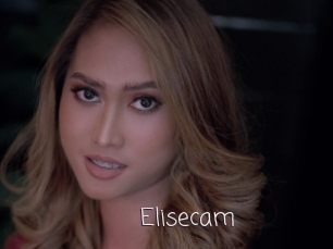 Elisecam