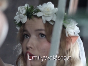 Emilywaldstein