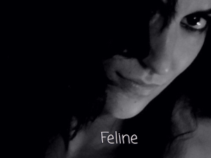 Feline