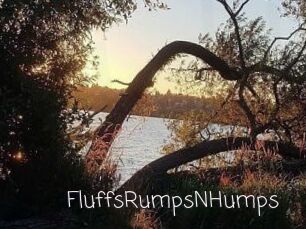 FluffsRumpsNHumps