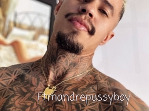Ftmandrepussyboy
