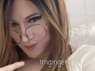 Imginger