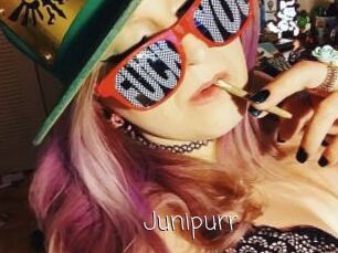 Junipurr