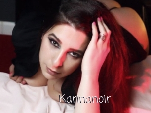 Karinanoir
