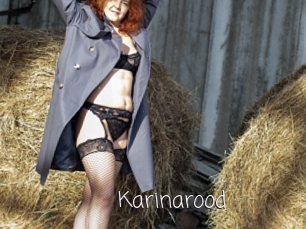 Karinarood