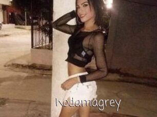 Kodamagrey