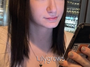 Lilygrows