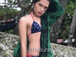 Littlebunnyts