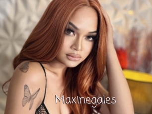 Maxinegales