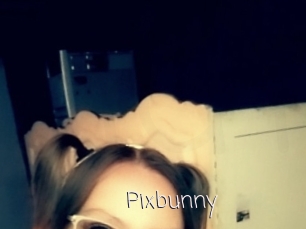 Pixbunny
