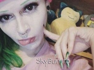 SkyBurrito