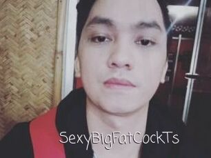 _SexyBigFatCockTs_