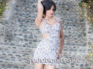 Shadiabigmonster