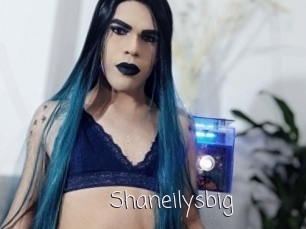 Shaneilysbig