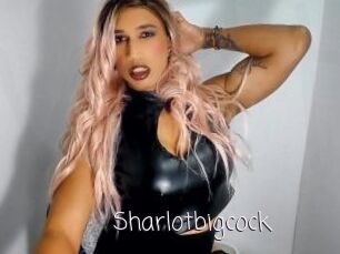 Sharlotbigcock