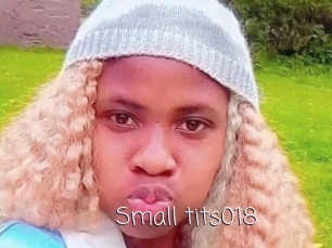 Small_tits018