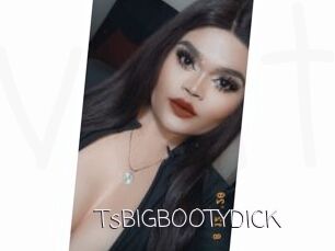 TsBIGBOOTYDICK