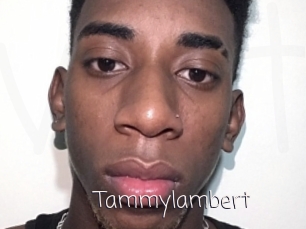 Tammylambert