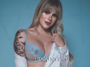 Tinamercier