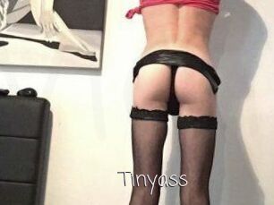 Tinyass