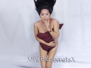 XtheBIGsecretsX