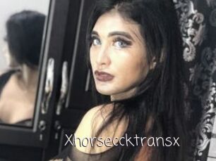 Xhorseccktransx