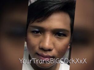 YourTransBIGCOckXxX