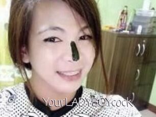YourLADYBOYcock